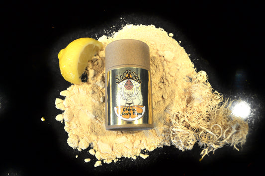 Dry Shampoo Citrus Lion's Mane Shroompoo| Organic Zero Waste | Vegan Dry Shampoo | Non Aerosol Dry Shampoo | Shampoo Powder